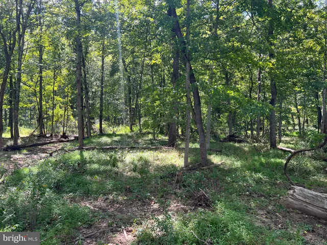 a view of backyard with green space