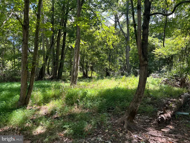 a close view of a fireplace