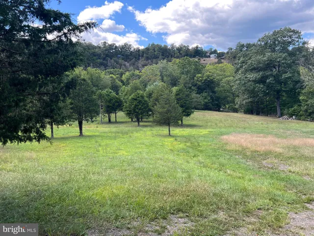 a view of a green field with trees in the background