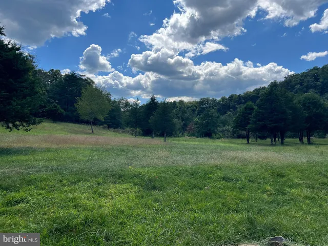 a view of a big yard with lots of green space and lake view