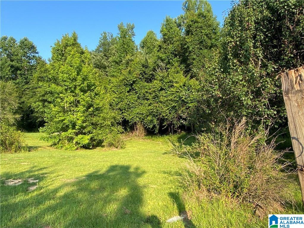 3025 Potato Patch Creek Road Marion, AL 36756 - Photo 17 of 24