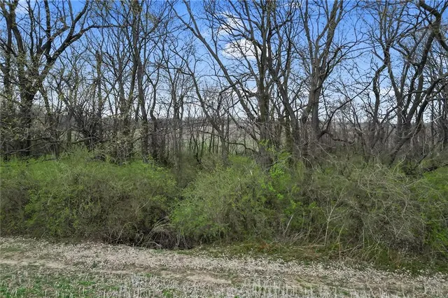 $775,000 | South Wellington Street, Richmond, MO 64085