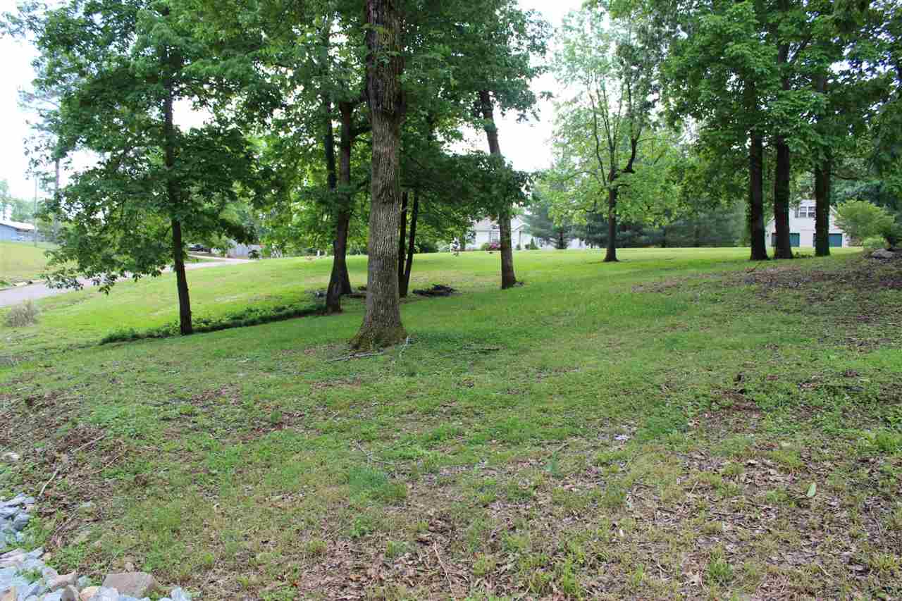 415 Shad Lane Adamsville, TN 38310 - Photo 23 of 25 Gallery Image 23
