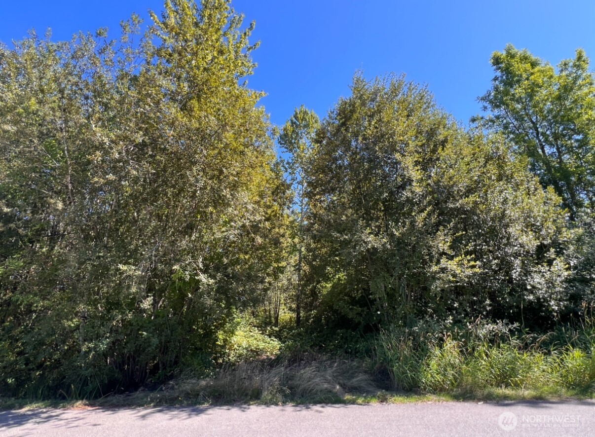 a view of a yard