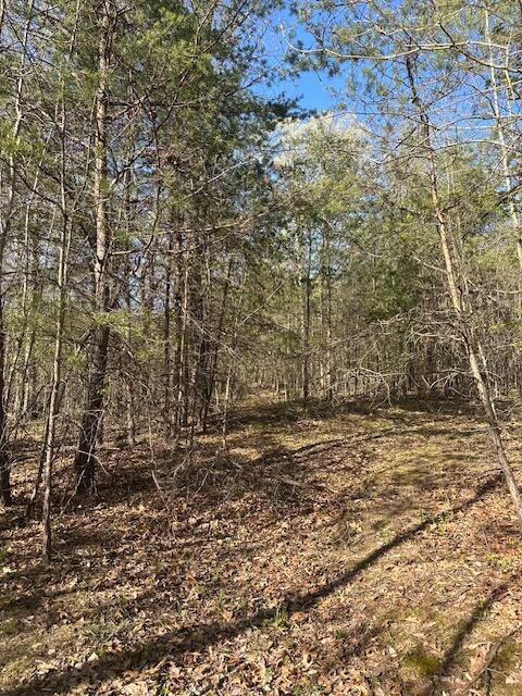 35310 Geiger Road Logan, OH 43138 - Photo 13 of 56 IMG_8843