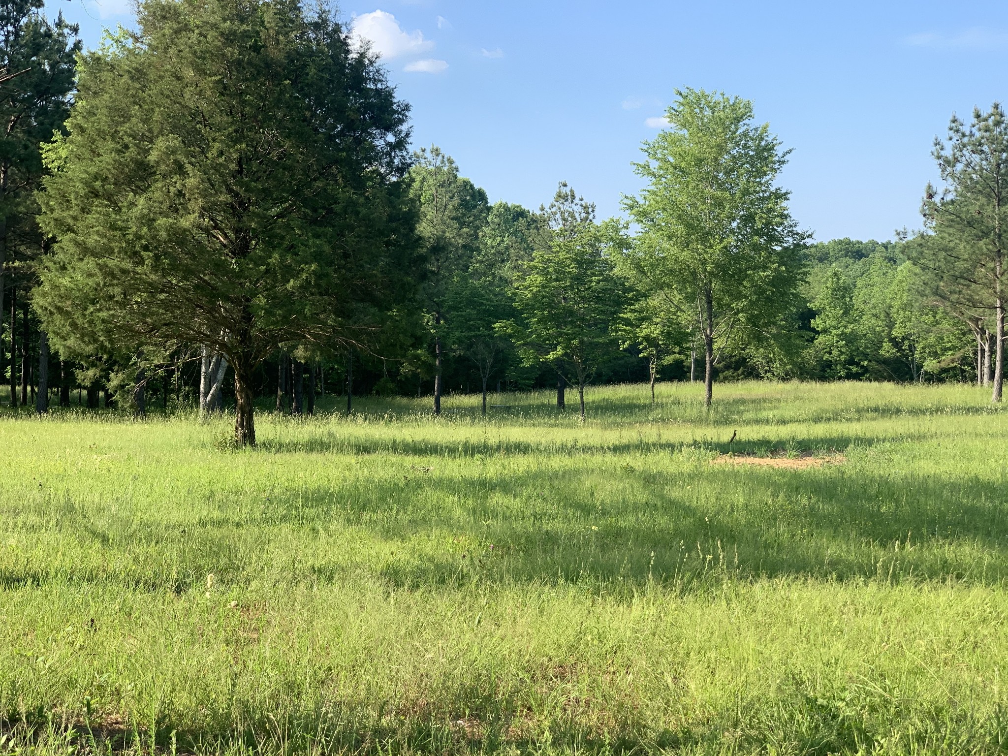 7481 Liberty Road Fairview, TN 37062 - Photo 1 of 21 Gallery Image 1