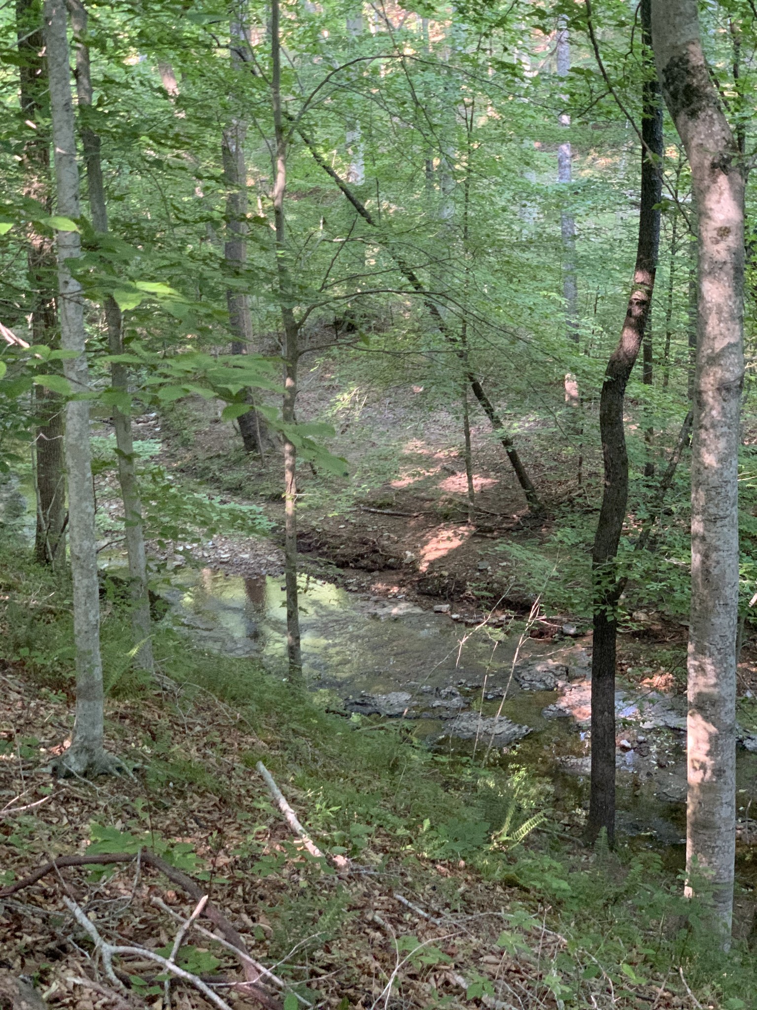 7481 Liberty Road Fairview, TN 37062 - Photo 13 of 21 Gallery Image 13