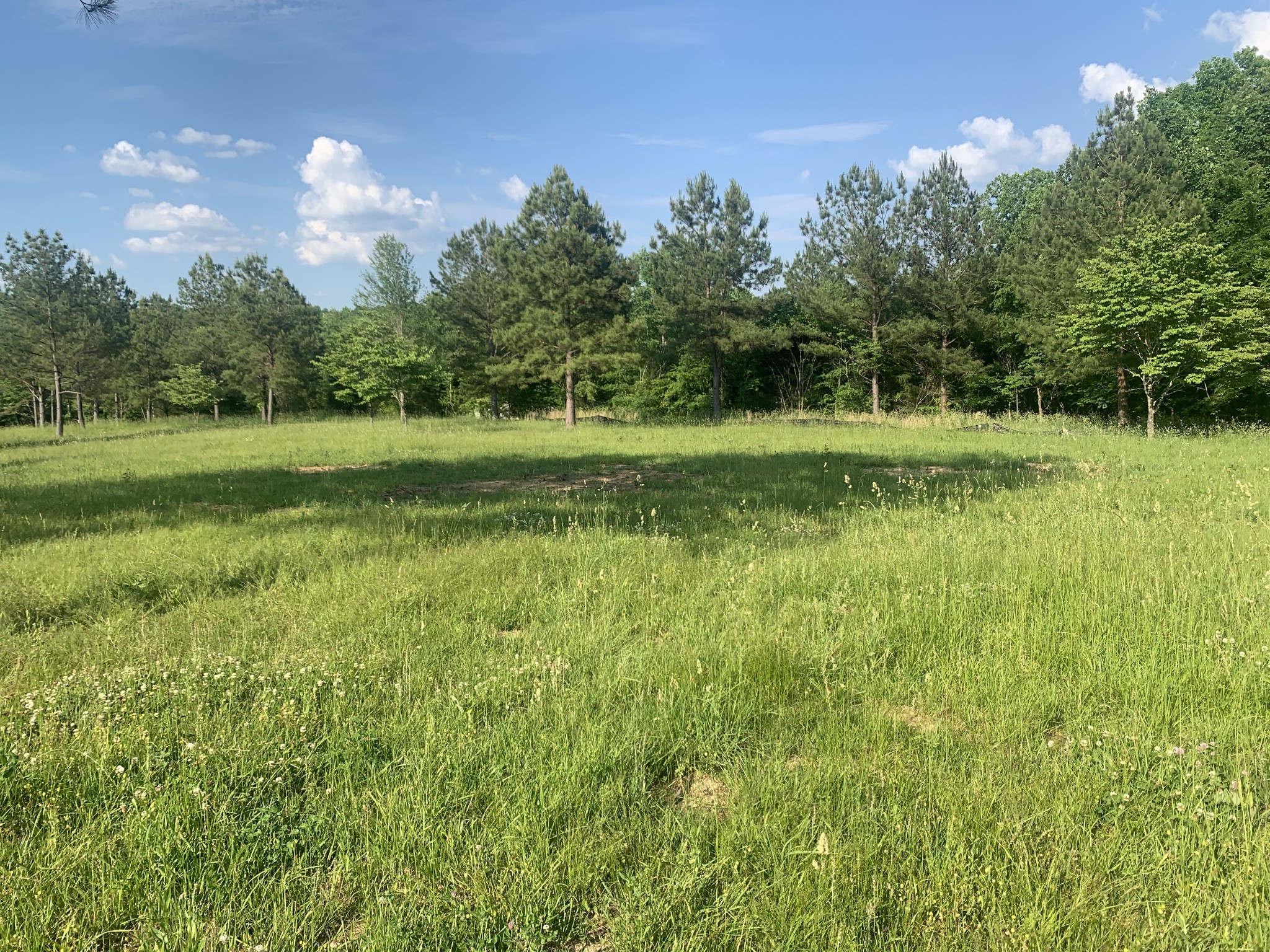 7481 Liberty Road Fairview, TN 37062 - Photo 8 of 21 Gallery Image 8