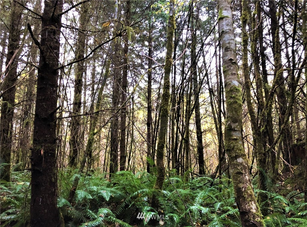 -nka Sudderth Road Hoquiam, WA 98550 - Photo 1 of 5 Gallery Image 1