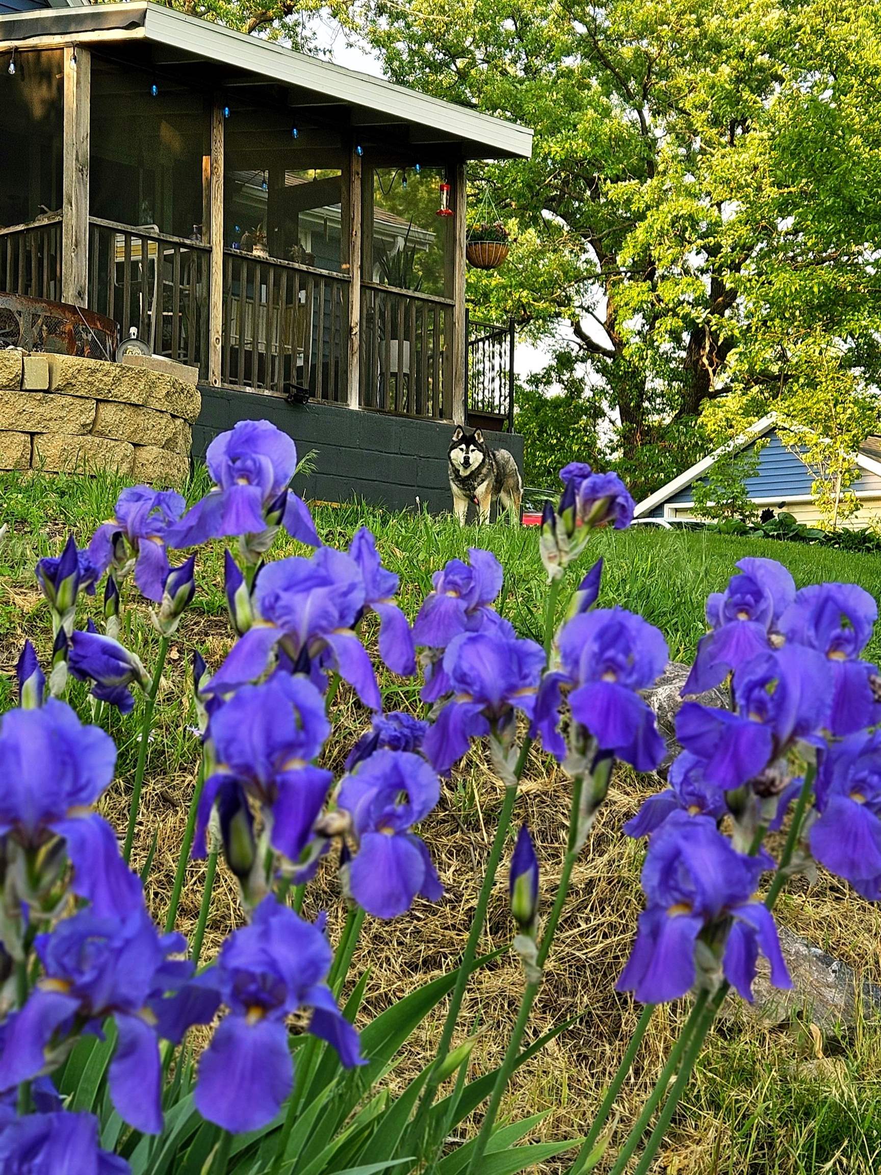 206 Church Street Merrimac, WI 53561 - Photo 50 of 55