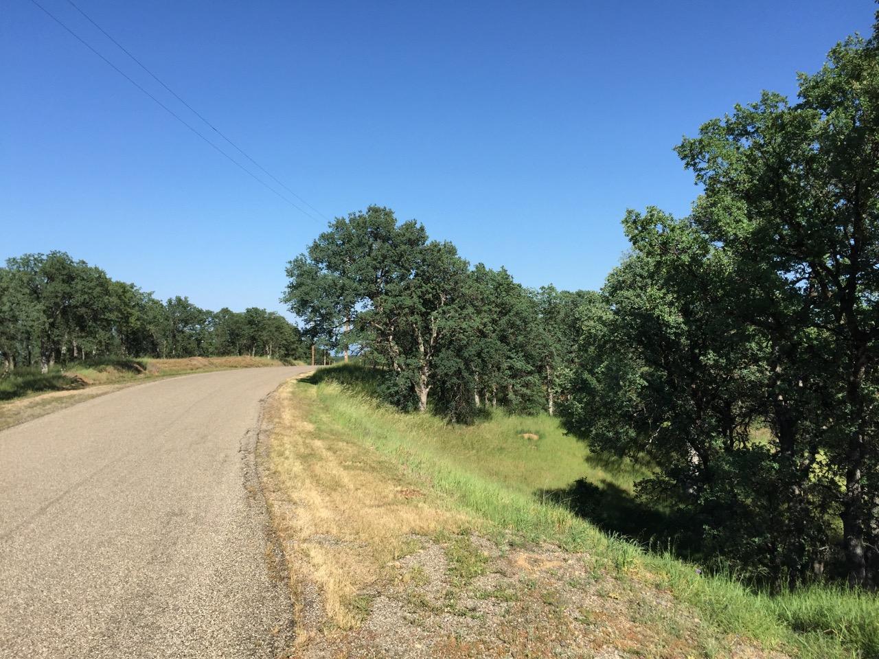 8.69-ac Quail Ridge Road Cottonwood, CA 96022 - Photo 2 of 15 IMG_0257.jpeg