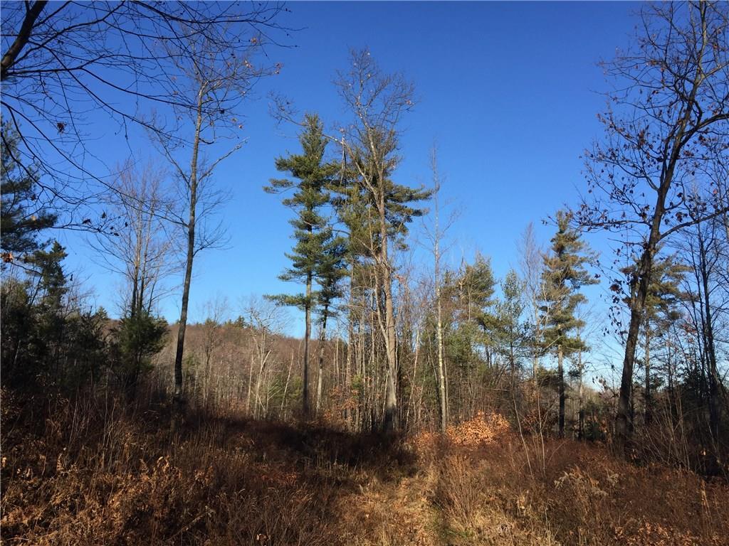 0 Mountain Road West Newfield, ME 04095 - Photo 2 of 4 Photo