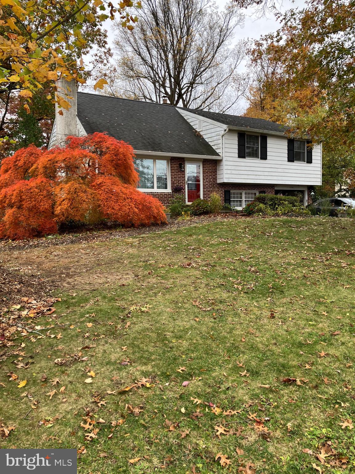 1154 Sylvan Road West Chester, PA 19382 - Photo 44 of 44 Fall View of Blooming Tree