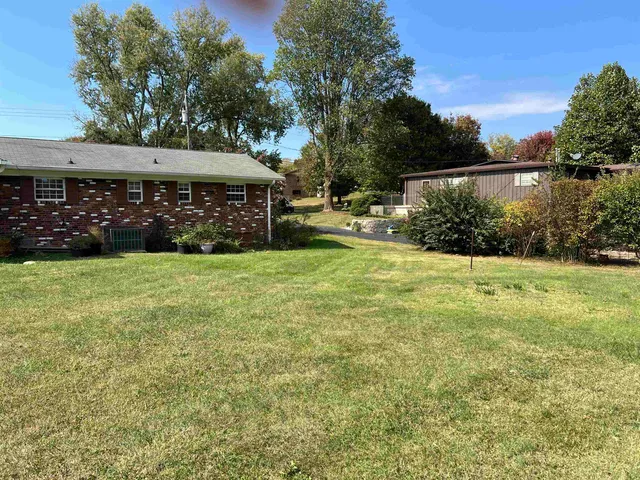 a view of a big yard with plants and large trees