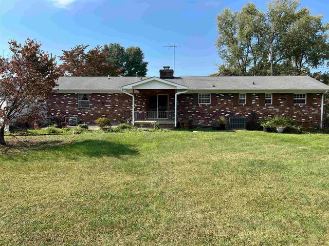 a view of a big yard with a large trees and plants