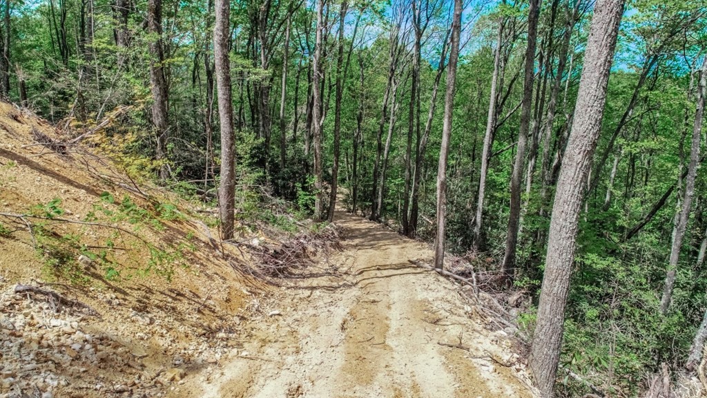 2 Rocky Ridge Road Cosby, TN 37722 - Photo 19 of 28 Gallery Image 19