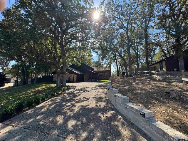 a view of a yard with plants and trees