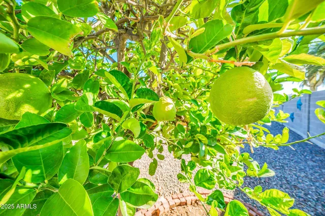 $285,000 | 10517 West Cumberland Drive, Sun City, AZ 85351