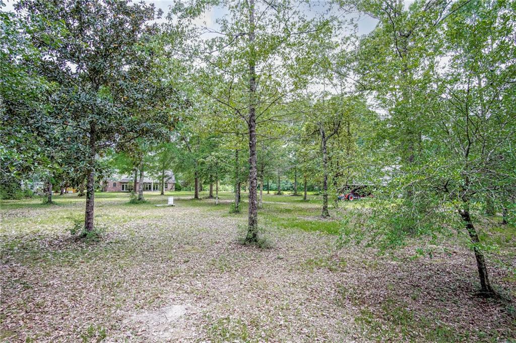 29645 Berry Todd Road Lacombe, LA 70445 - Photo 25 of 27 Gallery Image 25