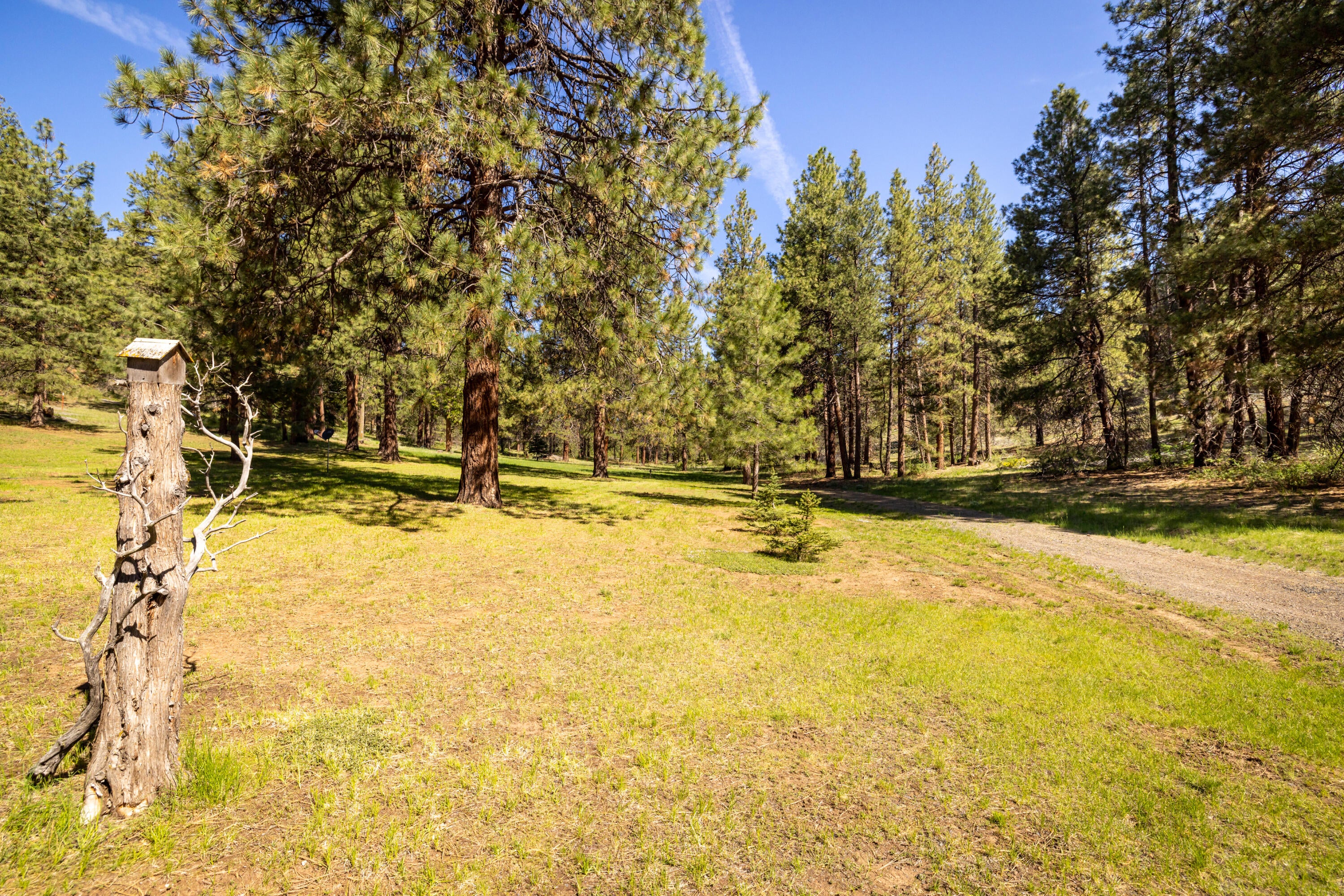 11550SimpsonCanyonRd.-12