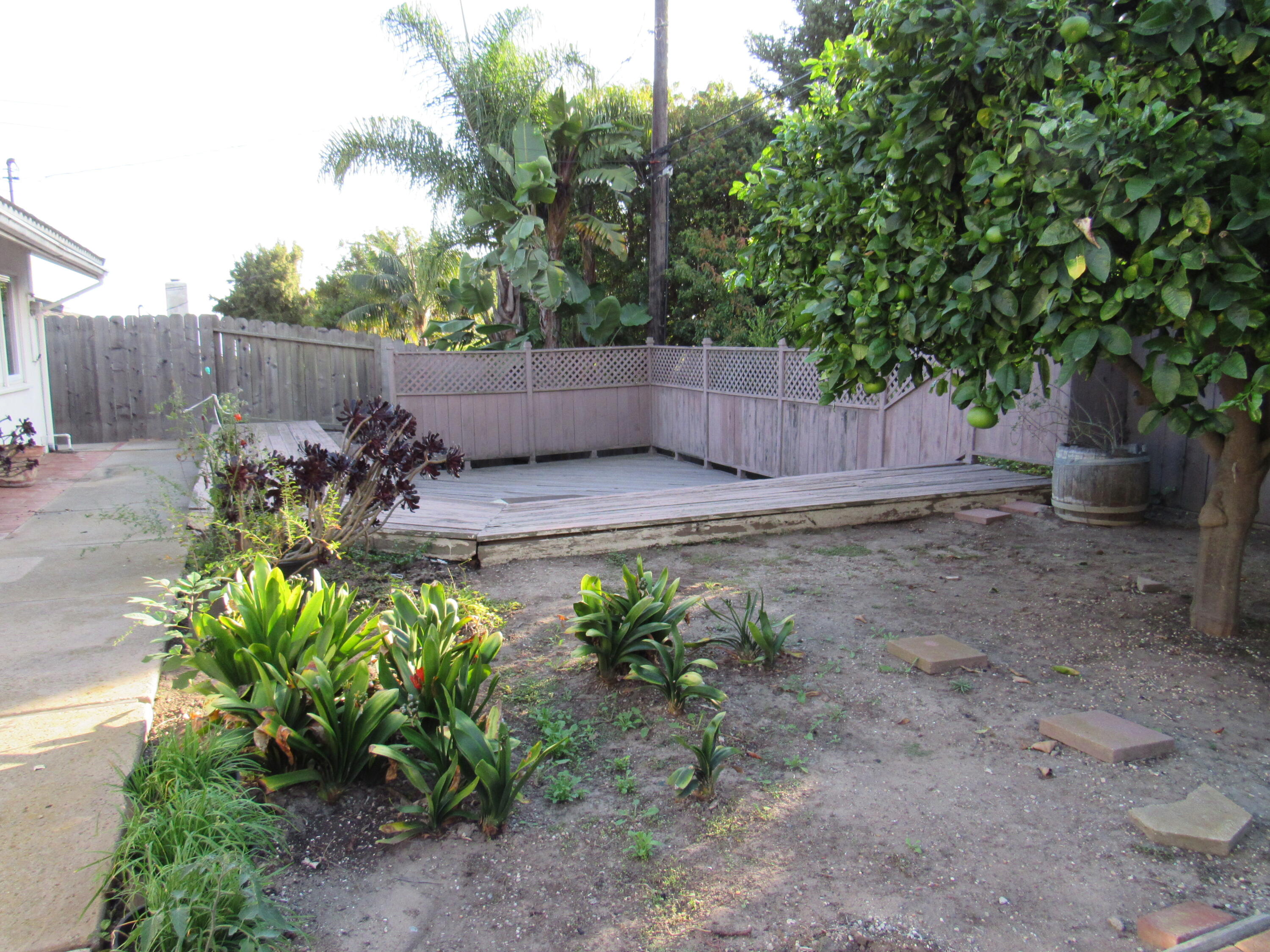 343 Salida Del Sol Santa Barbara, CA 93109 - Photo 16 of 20 a view of a backyard with plants and a fence