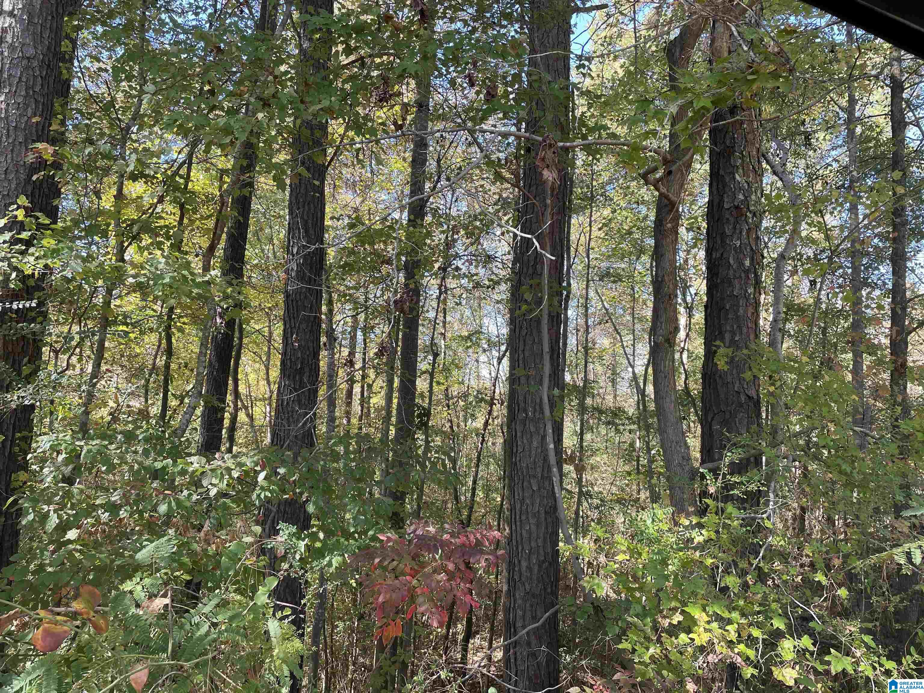 8760 Marsh Mountain Road, Unit 223 Pinson, AL 35126 - Photo 51 of 51