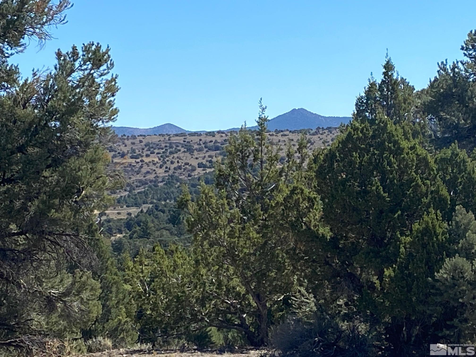 21830 Adobe Road, Unit 52A Reno, NV 89521 - Photo 2 of 4 a view of a large trees