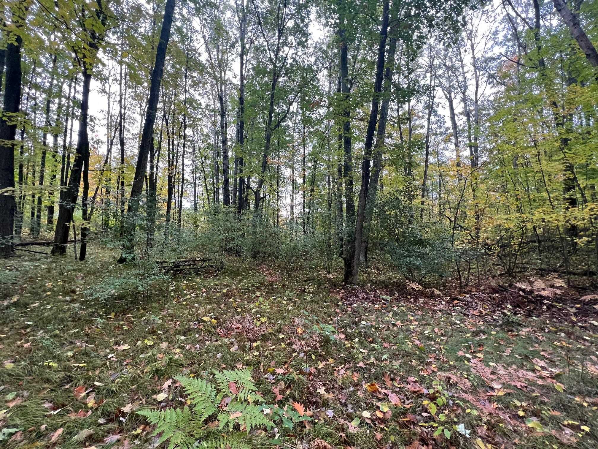 2160 East Gladwin Road Harrison, MI 48625 - Photo 13 of 19 Gallery Image 13