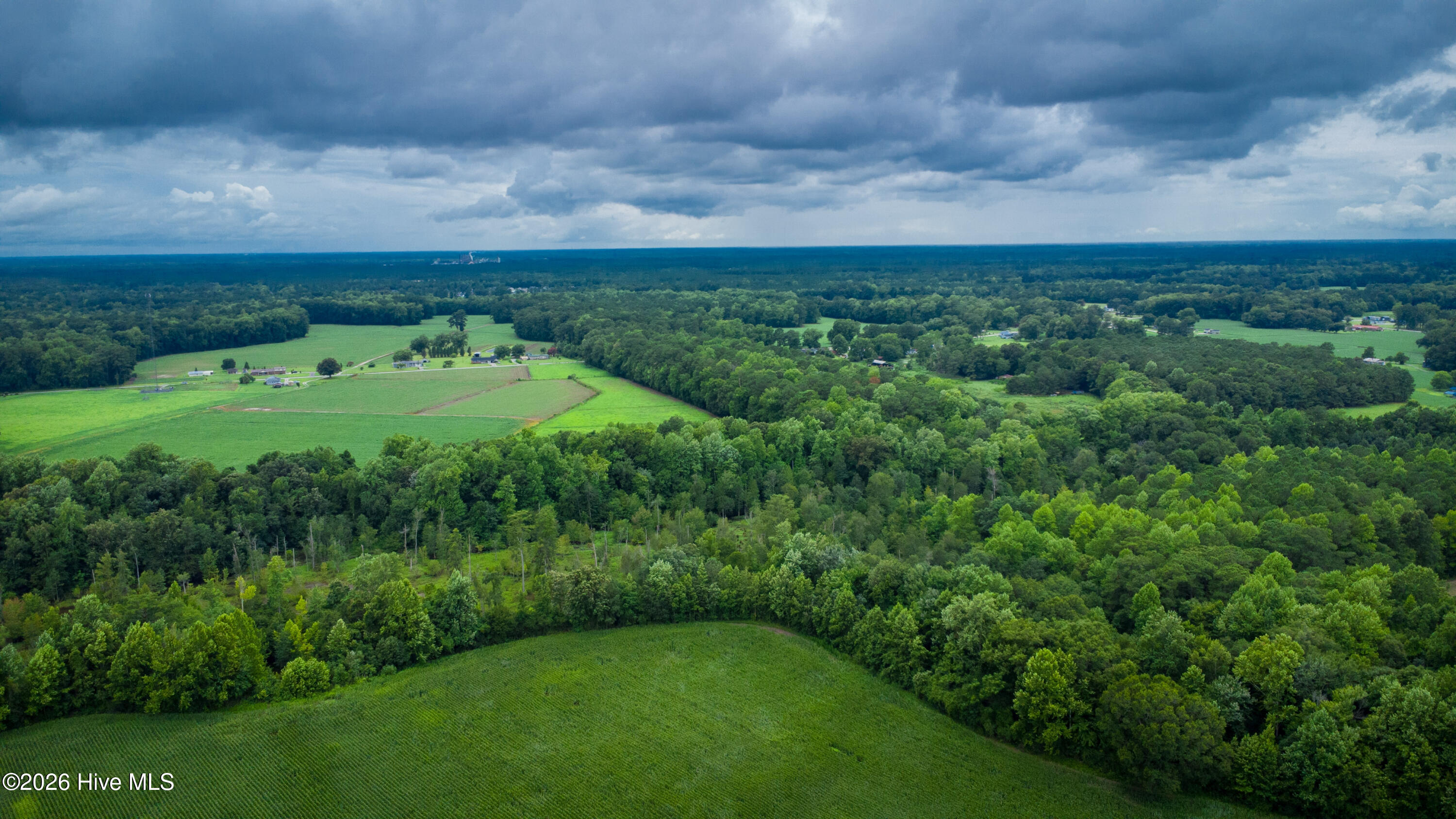 1601 Hill Neck Road Ernul, NC 28527 - Photo 19 of 33 Over 230 Acres of Opportunity