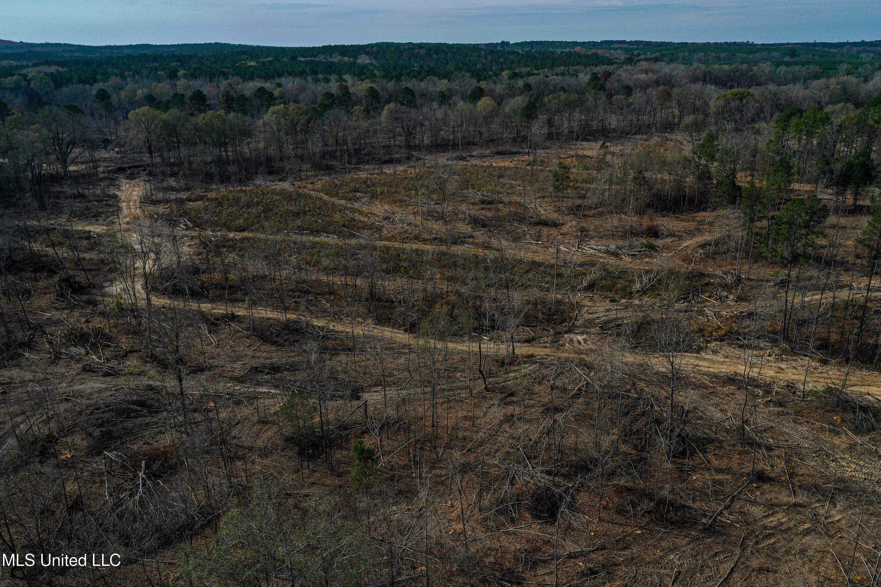 1 Alva Road Eupora, MS 39744 - Photo 11 of 30 DJI_0560