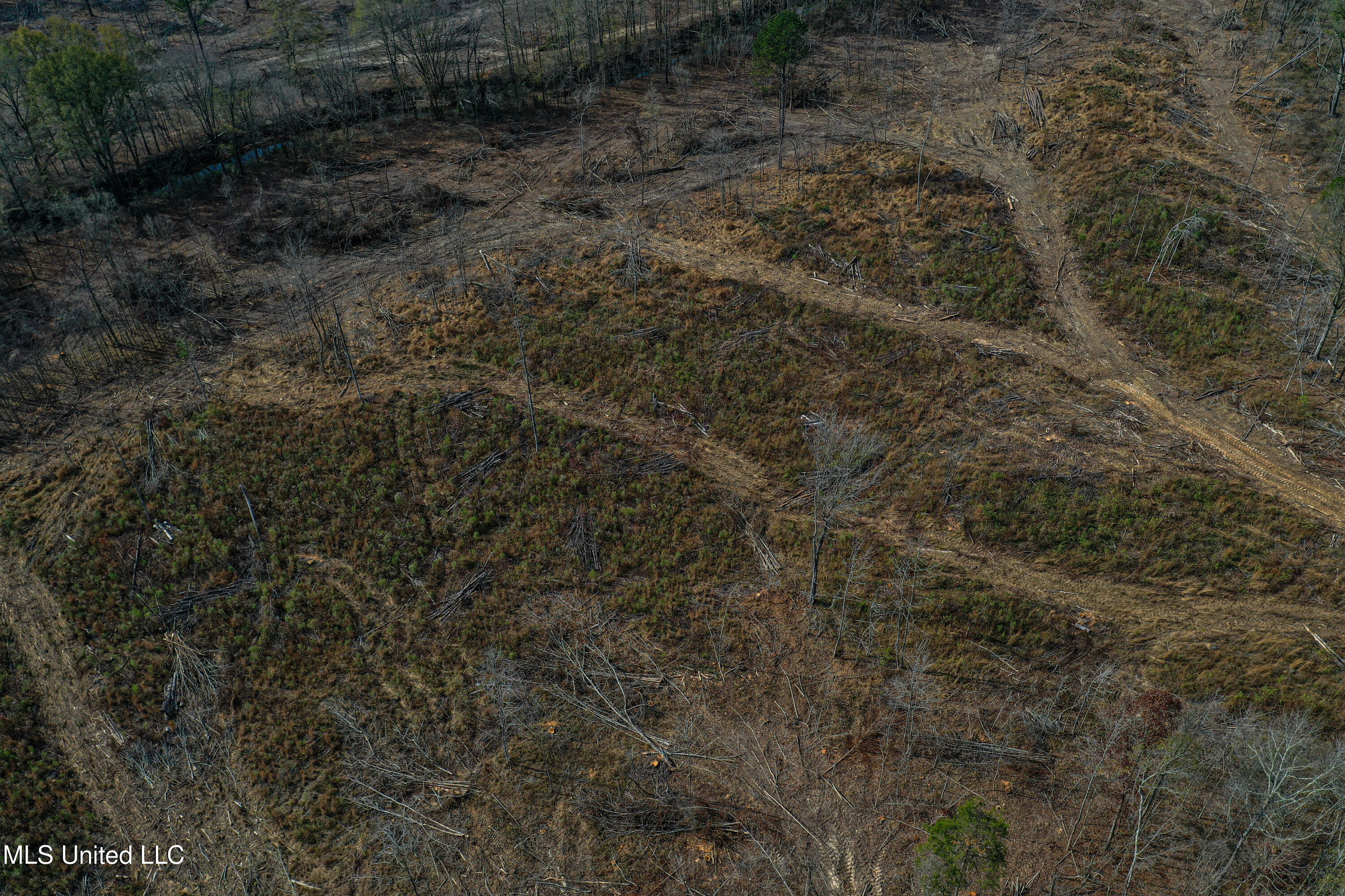 1 Alva Road Eupora, MS 39744 - Photo 12 of 30 DJI_0561