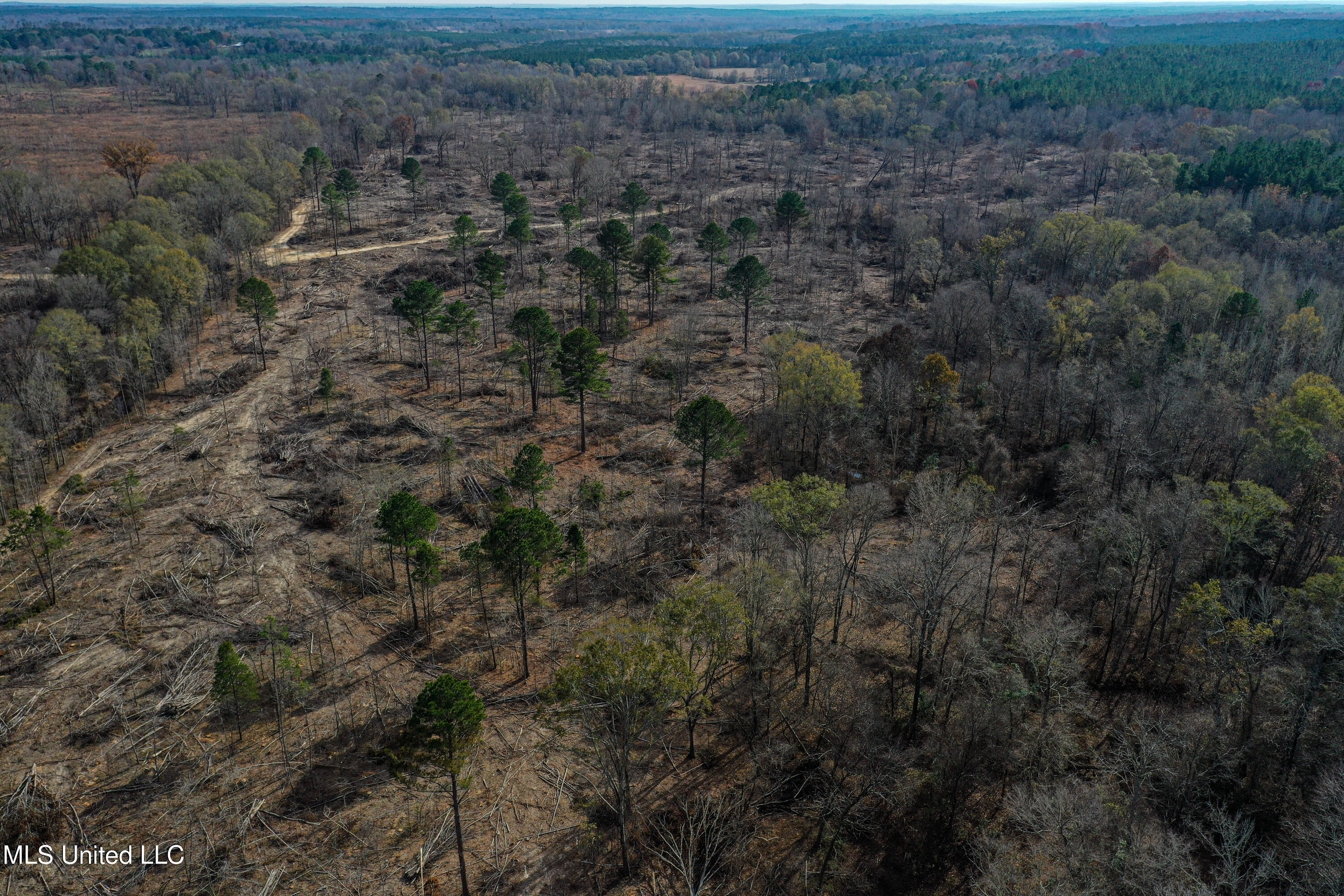 1 Alva Road Eupora, MS 39744 - Photo 13 of 30 DJI_0562