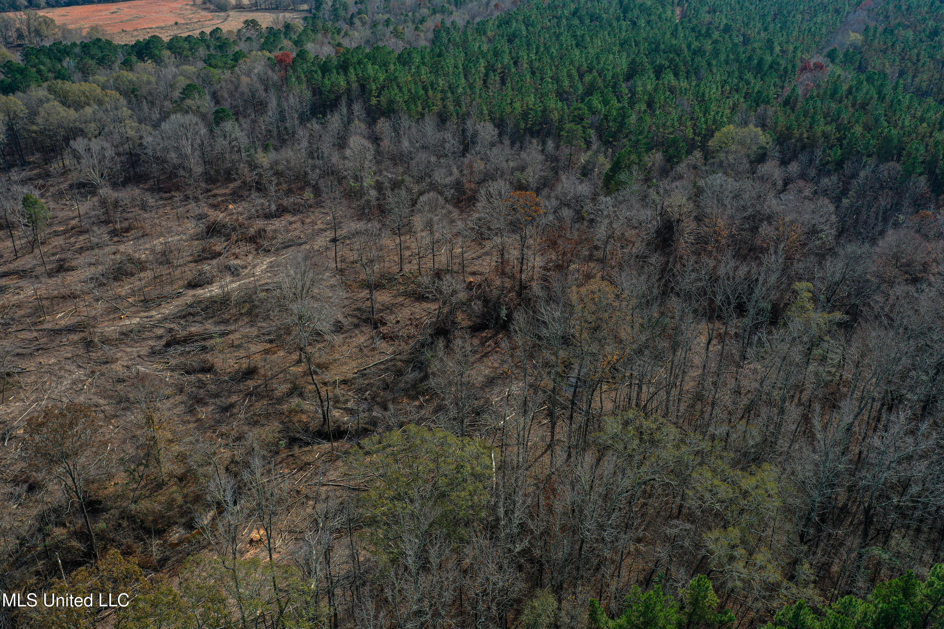 1 Alva Road Eupora, MS 39744 - Photo 16 of 30 DJI_0565