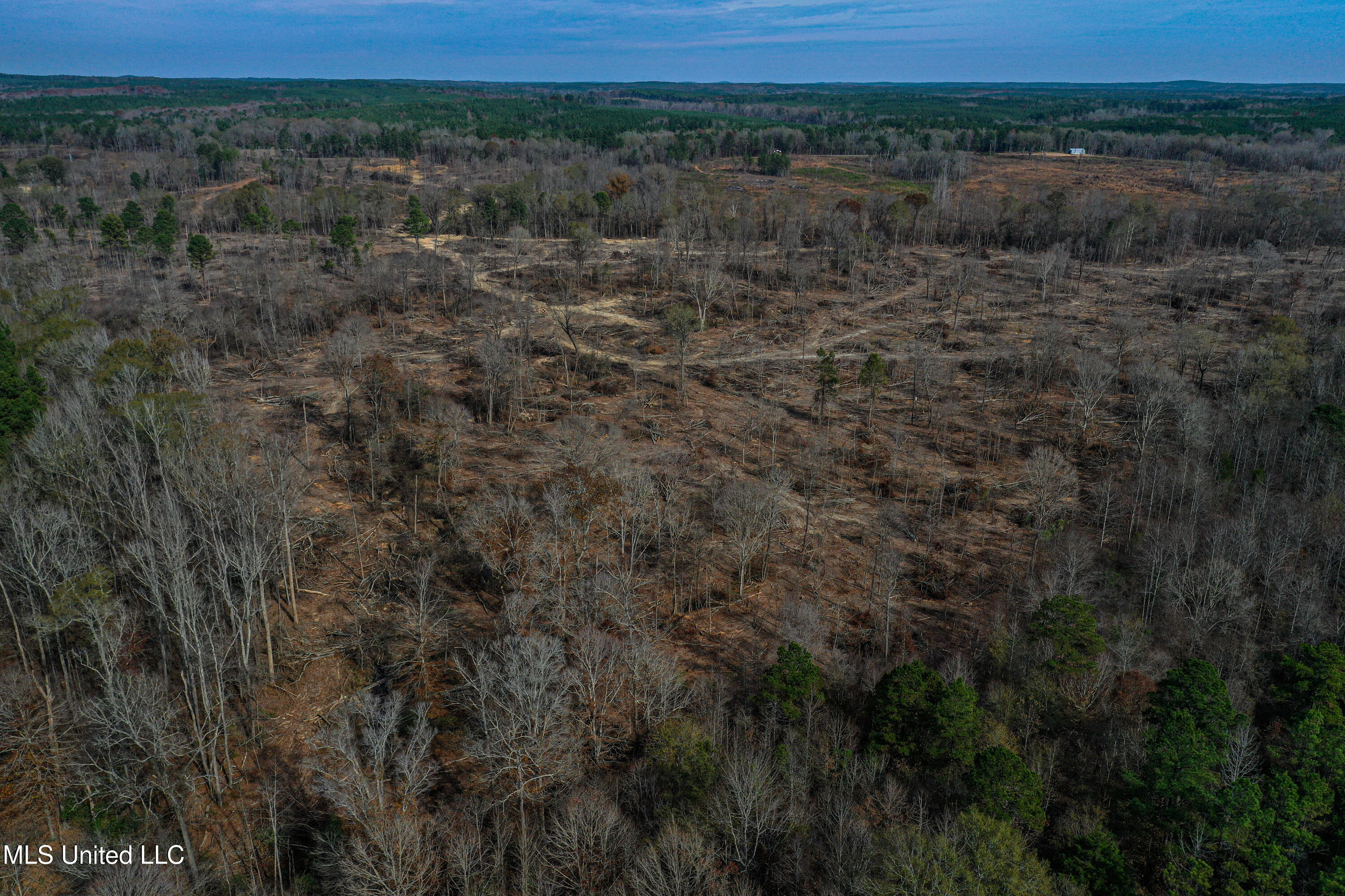 1 Alva Road Eupora, MS 39744 - Photo 17 of 30 DJI_0566