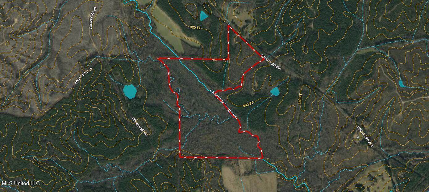 1 Alva Road Eupora, MS 39744 - Photo 2 of 30 Screenshot 2024-01-22 140128