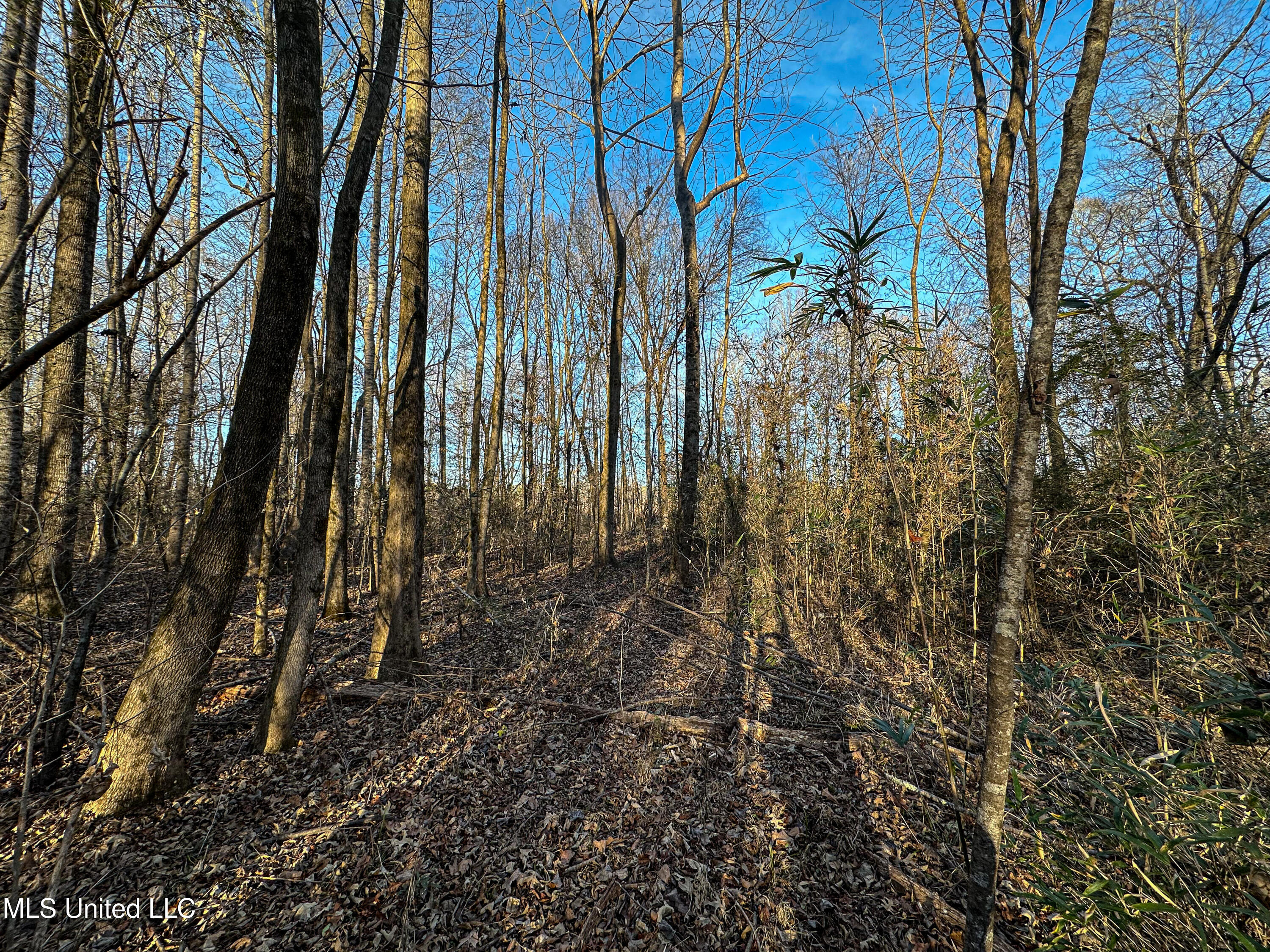1 Alva Road Eupora, MS 39744 - Photo 22 of 30 IMG_5992