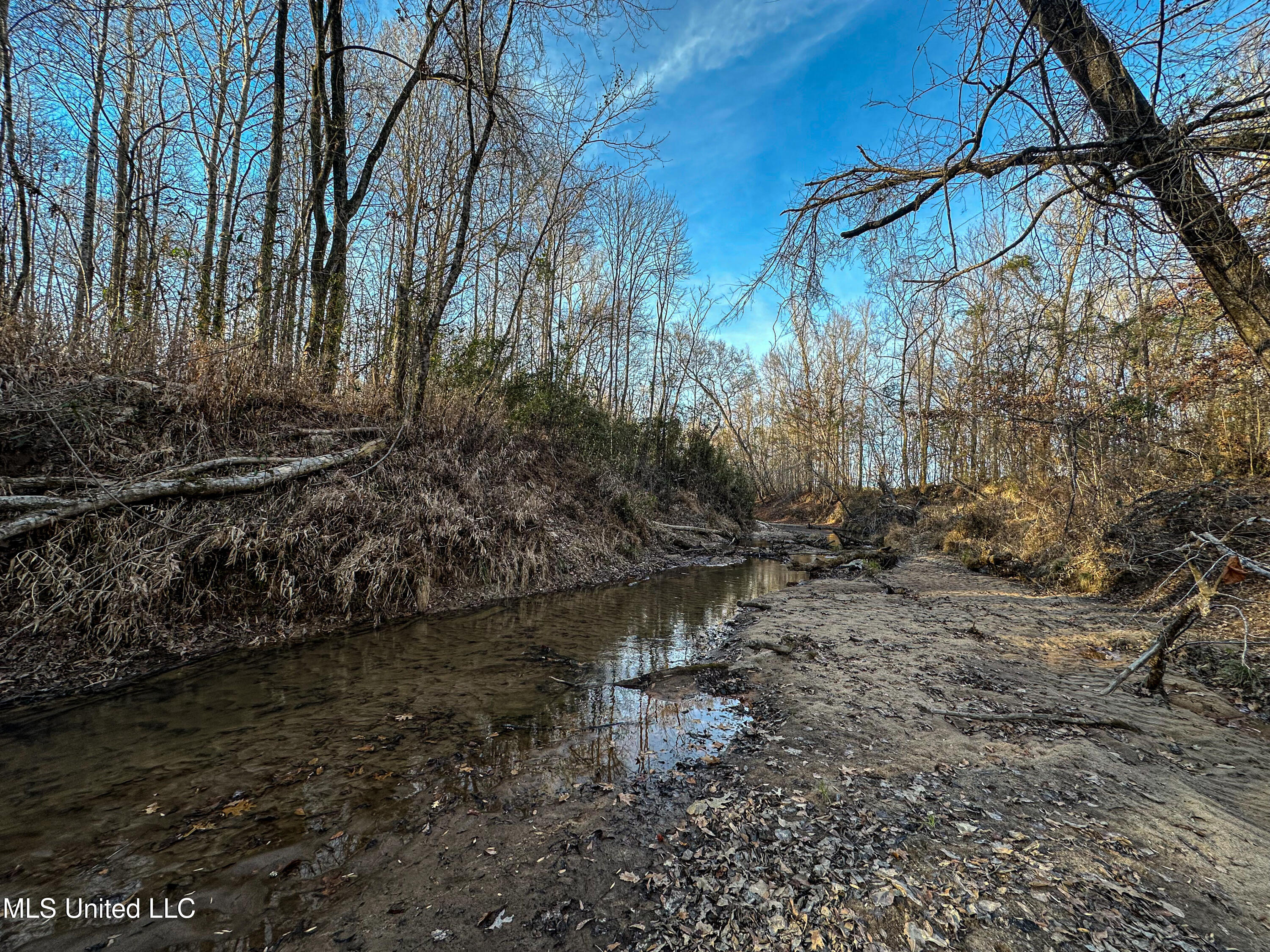 1 Alva Road Eupora, MS 39744 - Photo 24 of 30 IMG_5988