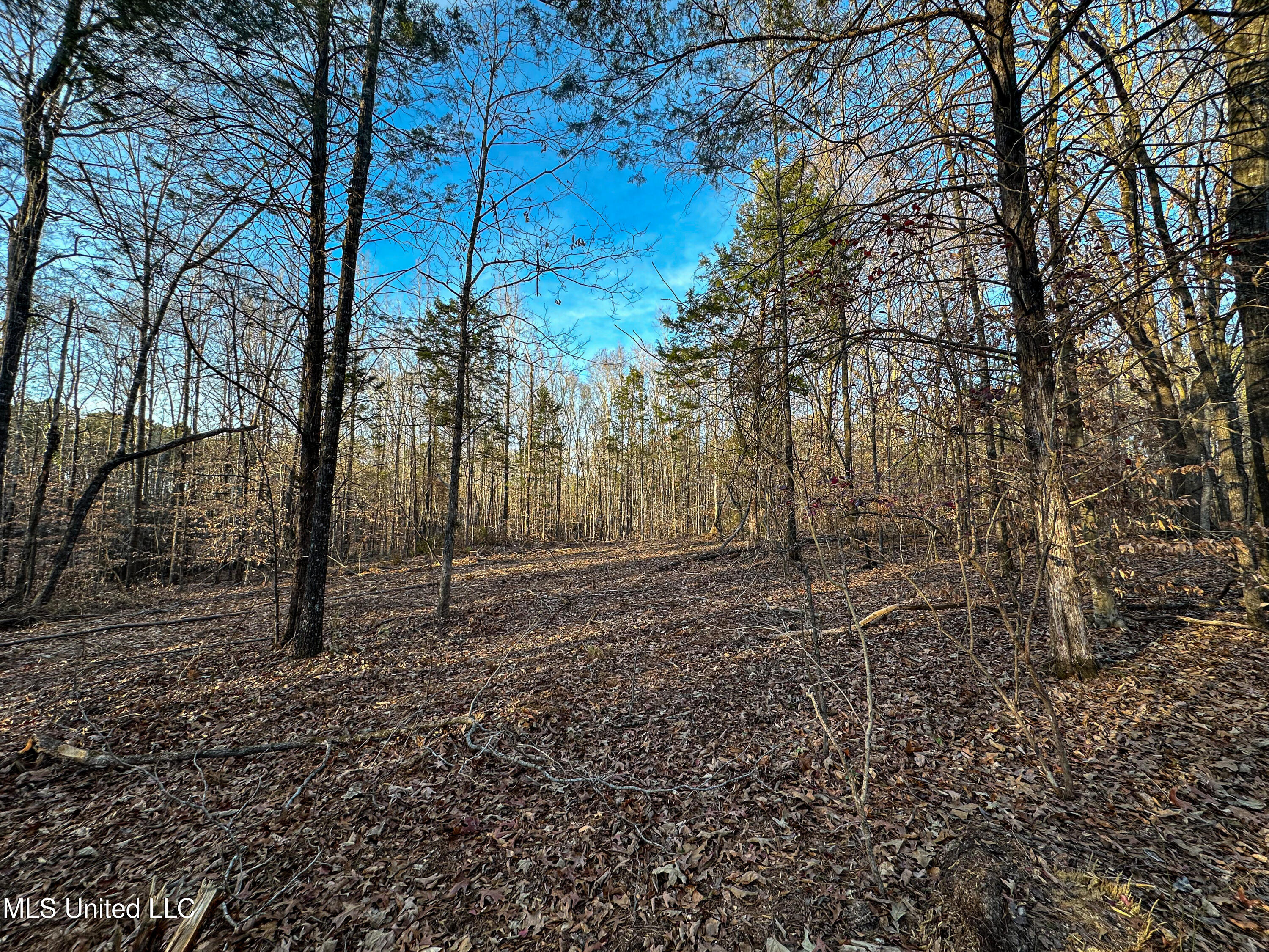 1 Alva Road Eupora, MS 39744 - Photo 27 of 30 IMG_6003