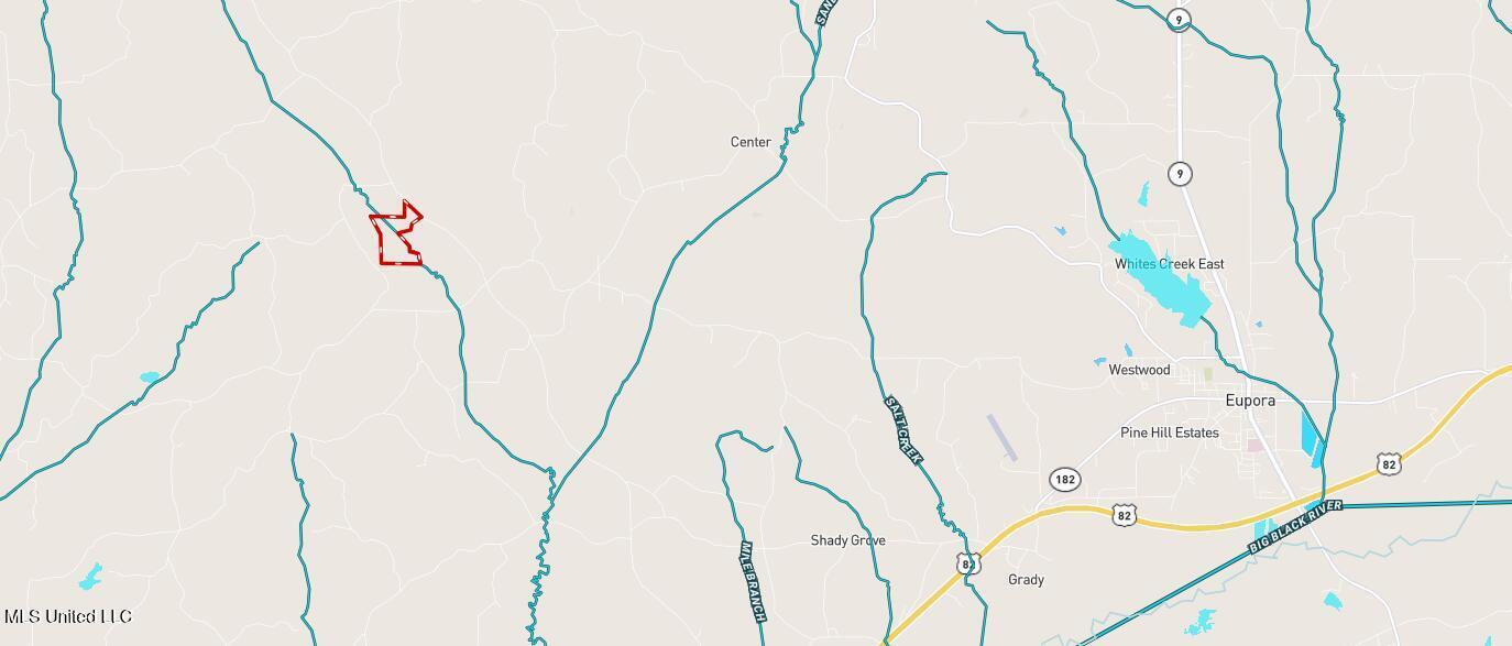 1 Alva Road Eupora, MS 39744 - Photo 6 of 30 Screenshot 2024-01-22 140316