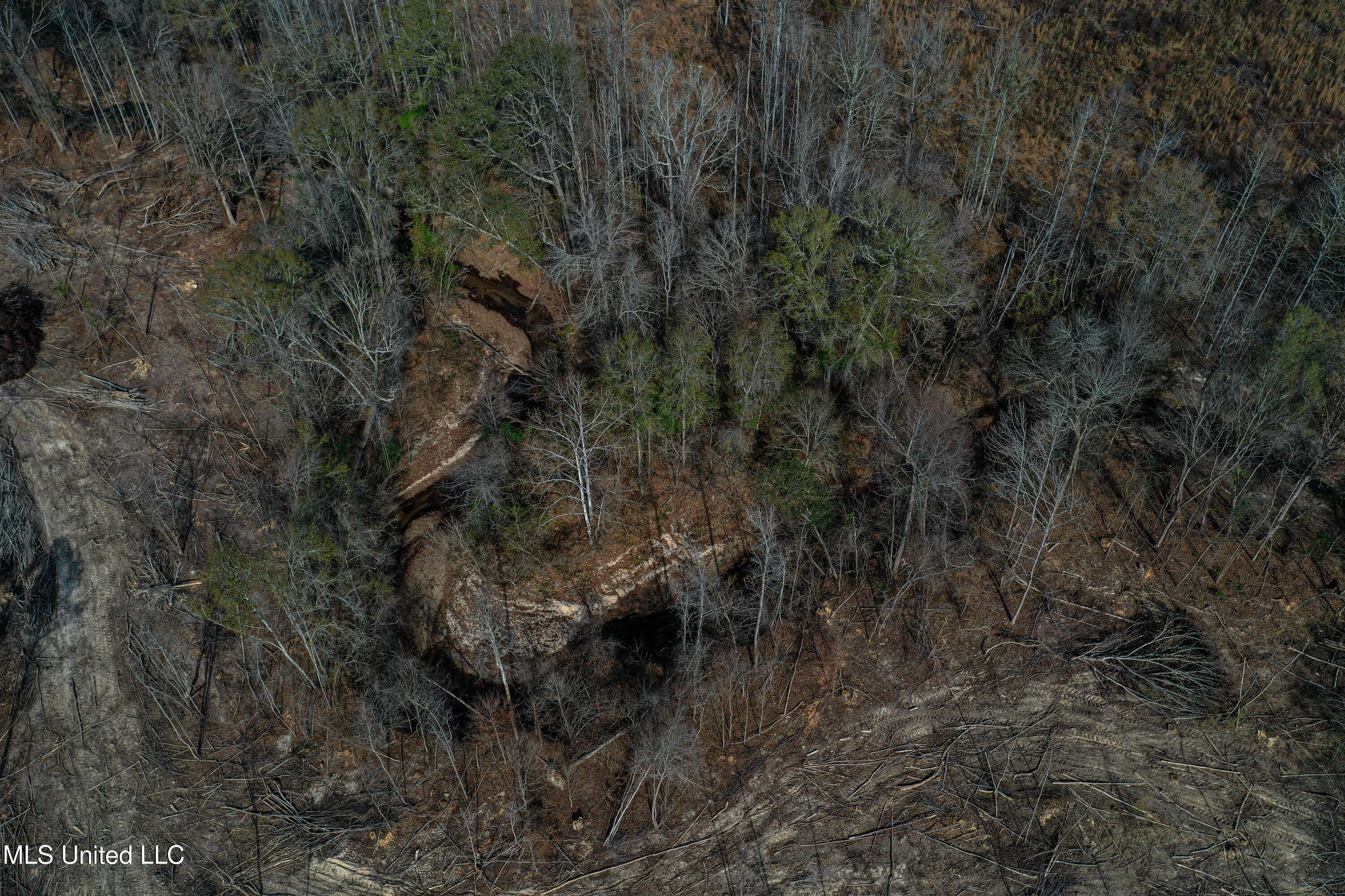 1 Alva Road Eupora, MS 39744 - Photo 10 of 30 DJI_0569