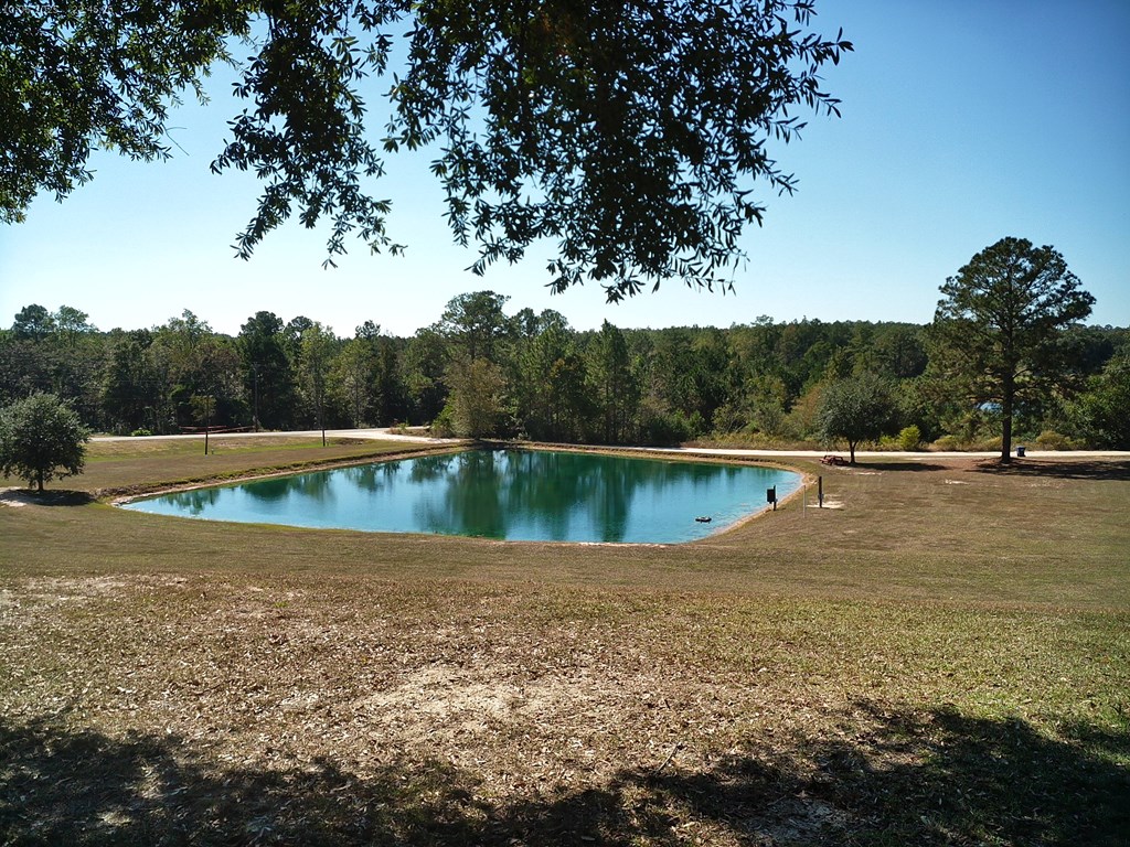 12543 Harrelson Loop Andalusia, AL 36420 - Photo 17 of 52 Pond