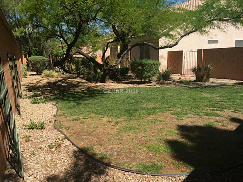 228 Chestnut Ridge Court Henderson, NV 89012 - Photo 3 of 35 Yard/Garden. Spacious yard with some green!