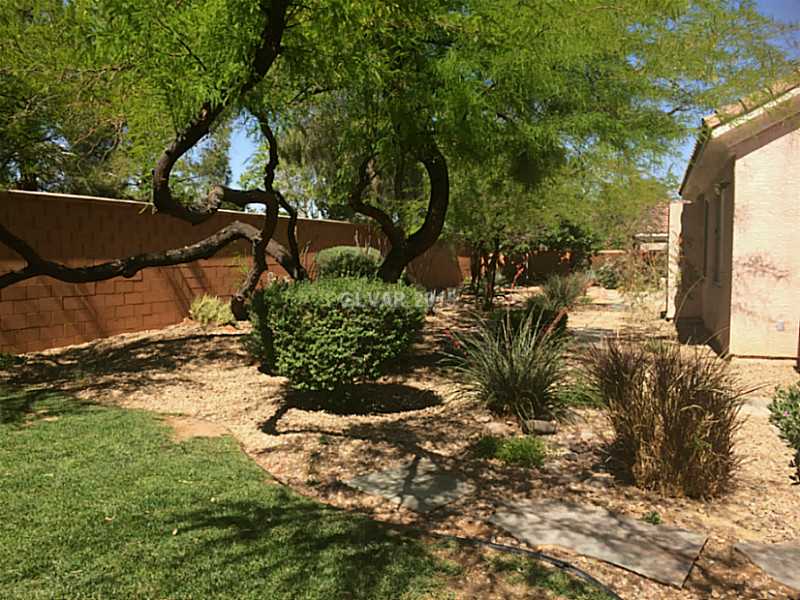 228 Chestnut Ridge Court Henderson, NV 89012 - Photo 31 of 35 Yard/Garden.