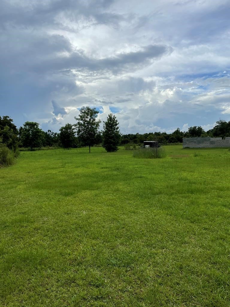 3373 Garner Road Ray City, GA 31645 - Photo 5 of 5 Gallery Image 5