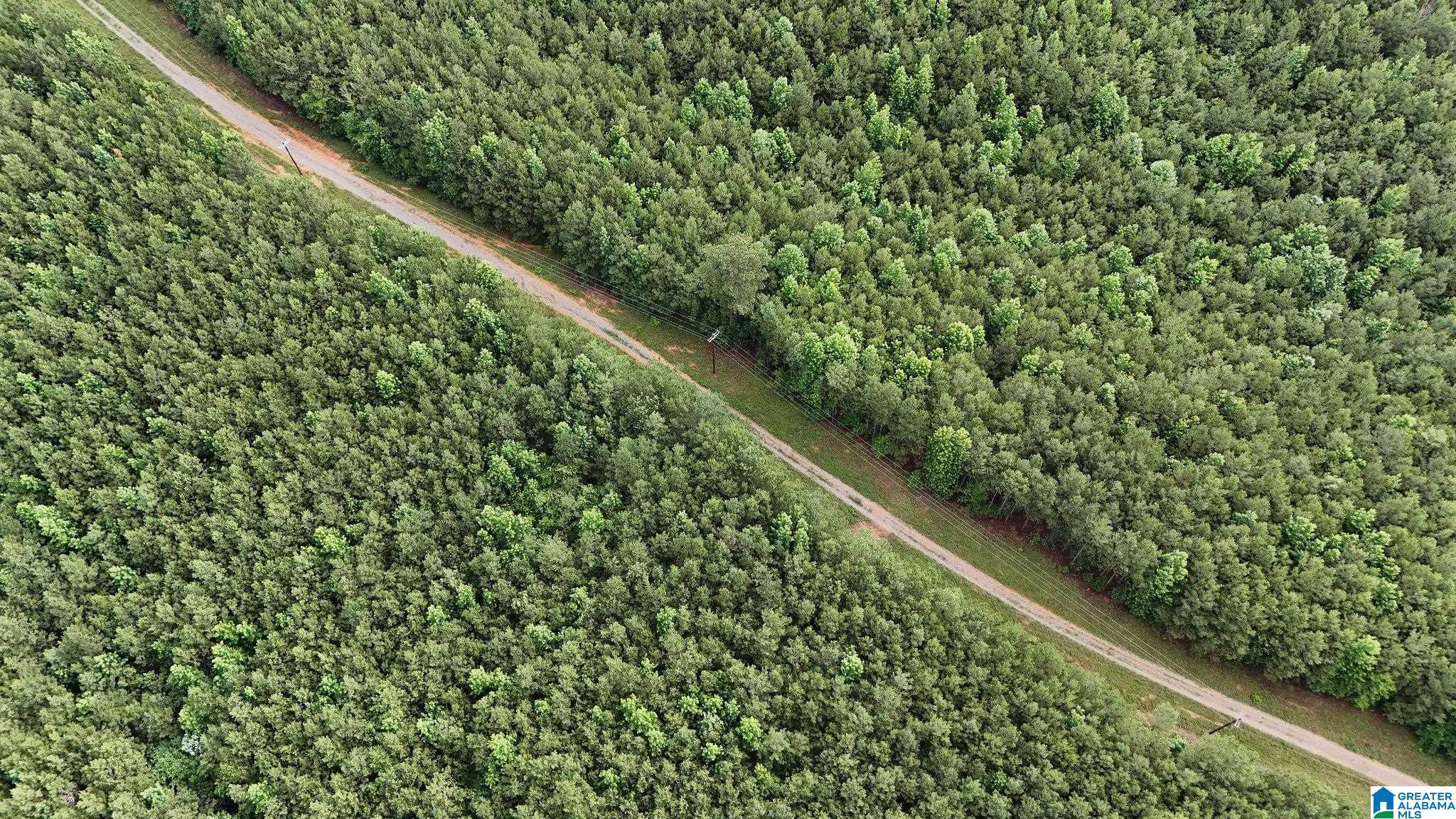 0 Skyview Lake Road Cottondale, AL 35453 - Photo 6 of 22