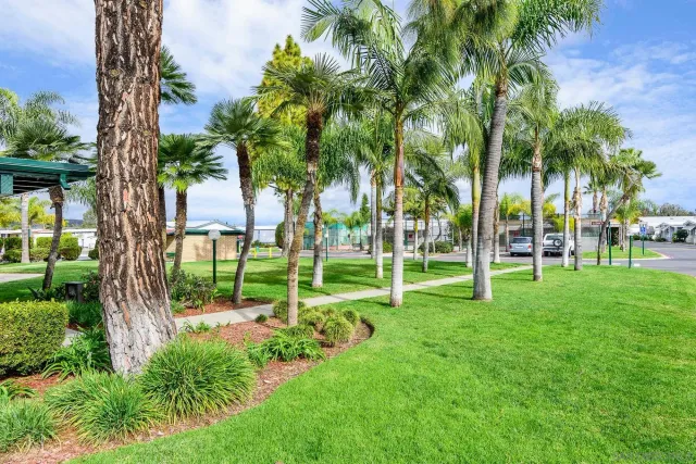 a view of a park with palm trees