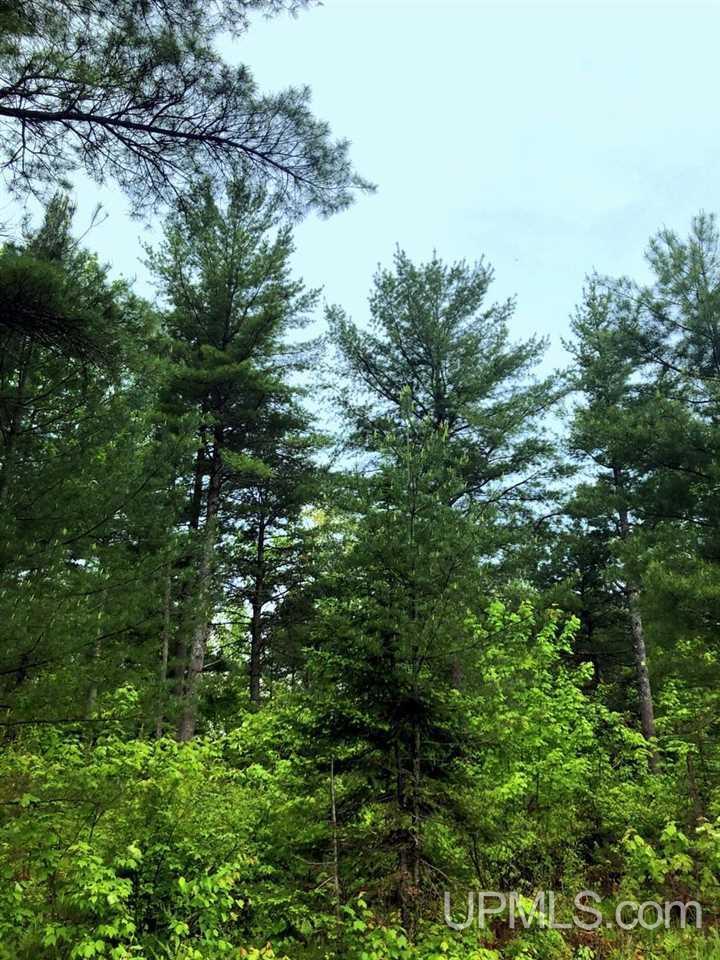 Tbd Co Rd Mt And Mu Palmer, MI 49871 - Photo 5 of 13