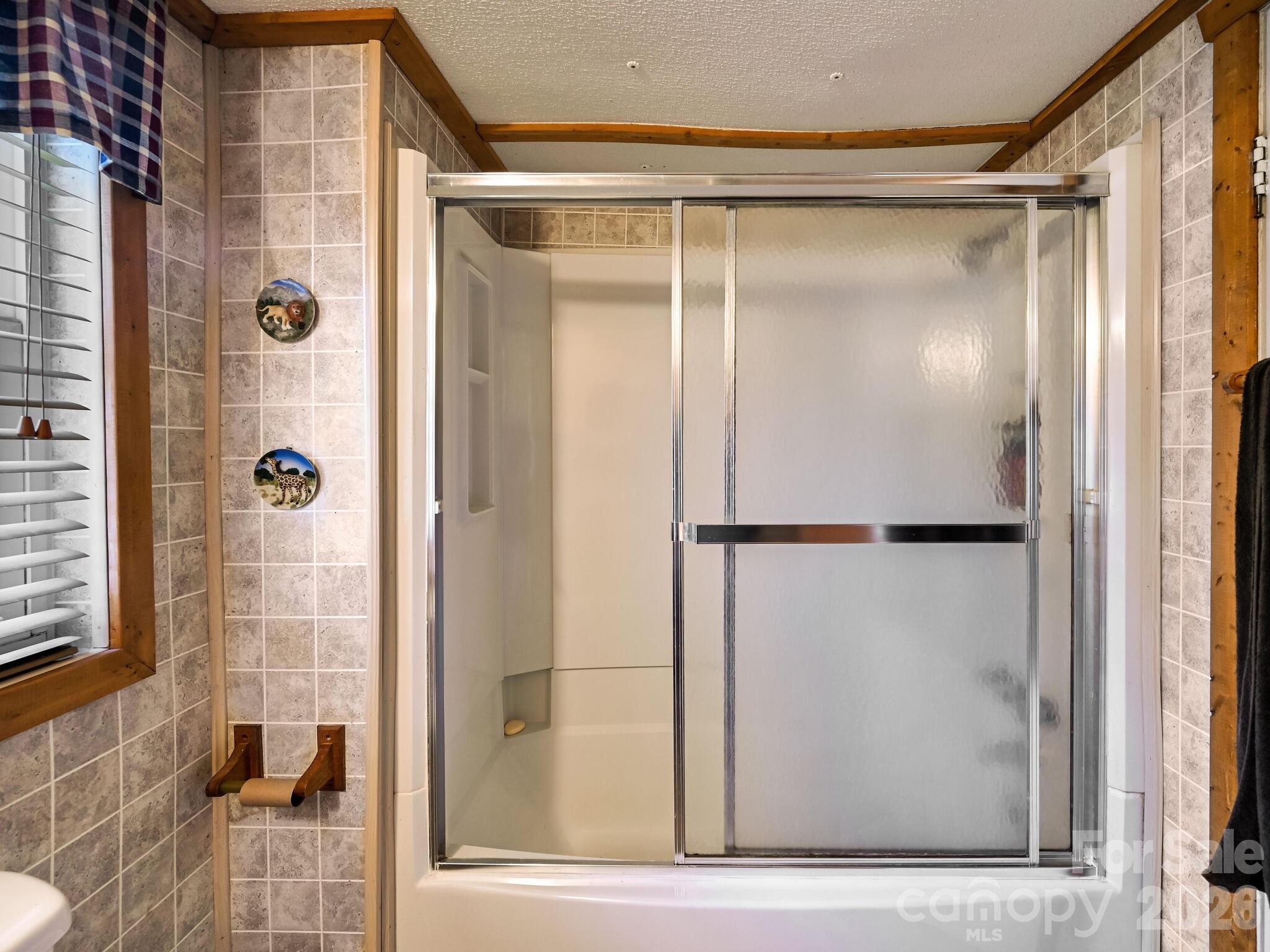 118 East Lawson Road Hot Springs, NC 28743 - Photo 8 of 47