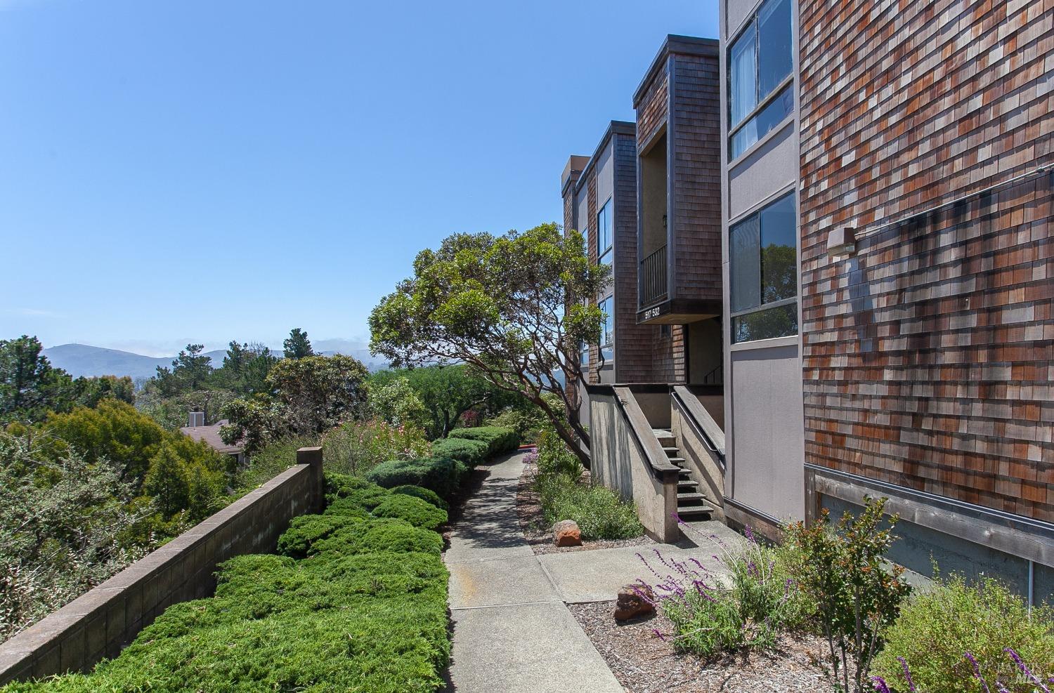 521 Seaver Drive Mill Valley, CA 94941 - Photo 1 of 1 a view of a pathway both side of building