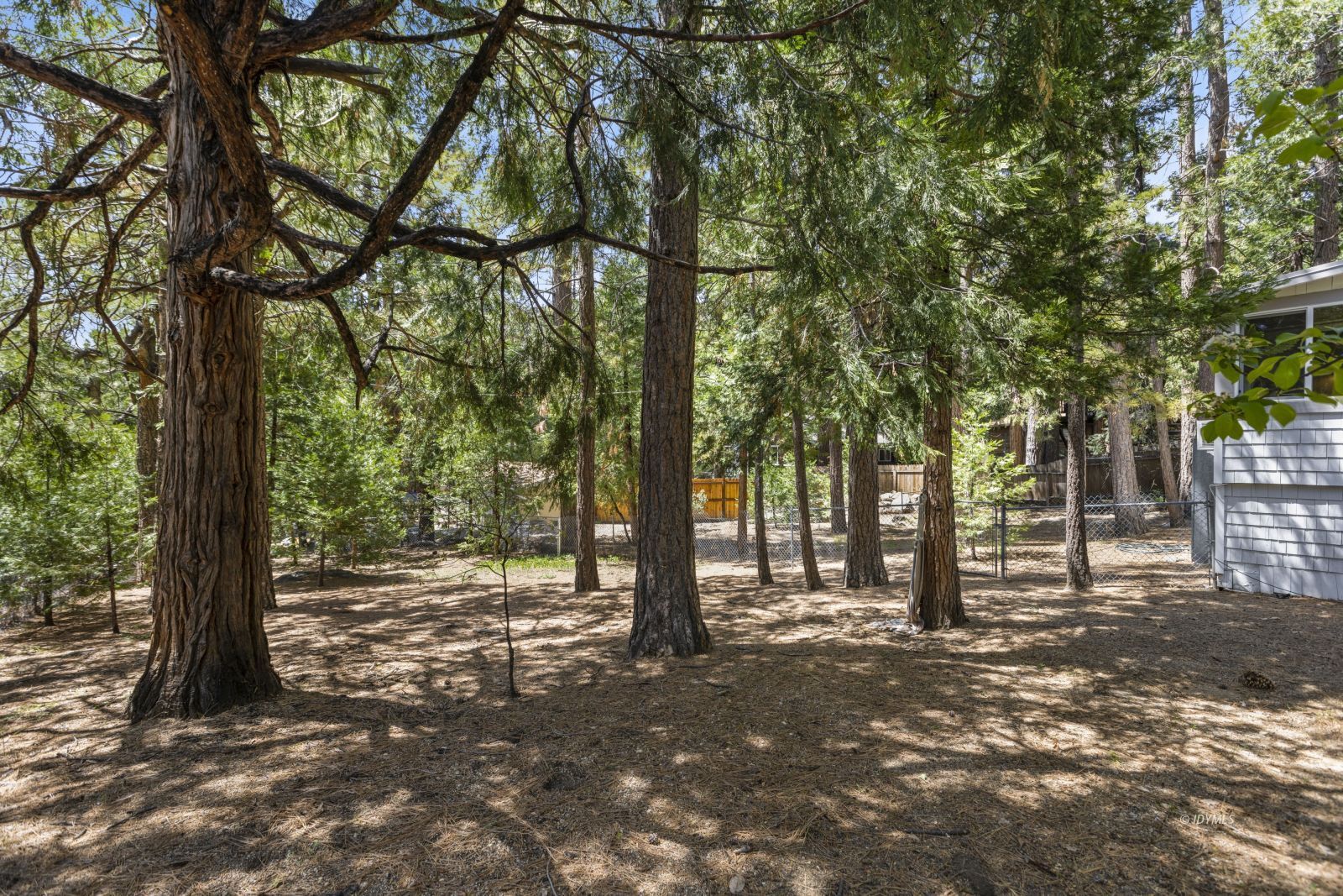 25115 Rim Rock Road Idyllwild, CA 92549 - Photo 23 of 26 Large fenced area for pets